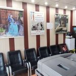 عکاسی تک ستاره