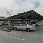 زمین چمن مصنوعی دانش تهران