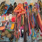 فروشگاه امیر دان پرندگان