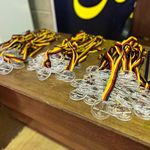 آموزش شنا سانی