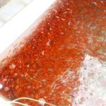 پخش عمده ماهی شب عید