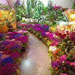 گلفروشی و کافه ریچ