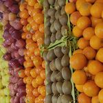 میوه فروشی مستشاری