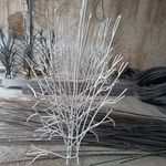 پارسیان حفاظ