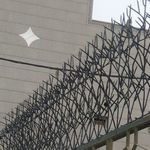 پارسیان حفاظ