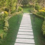 کلیه خدمات فضای سبز  آبیاری قطره ای