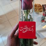 دکتر روانشناس مرکز روانپزشکی نیک مایند