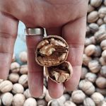 فروش عمده گردو و بادام درختی  قیمت عالی