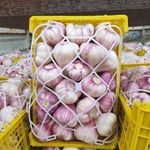 تامین کننده محصولات کشاورزی و صیفی جات