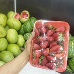 میوه فروشی راد