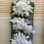 تاج گل های کرایه ای