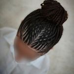 بافت مو /نرگس تاجیک