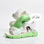 تولیدی و پخش کفش پیل تن