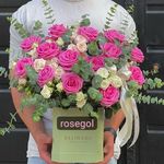 گلفروشی رز گل