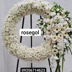 گلفروشی رز گل