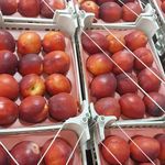 فروشگاه میوه و تره بار وحدت