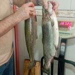 سوپر گوشت احدزاده