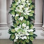 گل آیریس(انواع تاج گل) ارسال فوری تهران