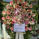 گل آیریس(انواع تاج گل) ارسال فوری تهران