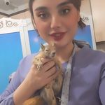 کلینیک و پت شاپ دامپزشکی نوازش