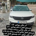 کارواش داداشیا