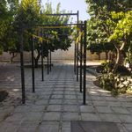 کراسفیت وکلیستنیکس جعفری