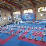 باشگاه رزمی کاراته آلفا