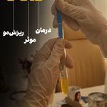 مطب پوست مو زیبایی دکتر راحله گلرخی