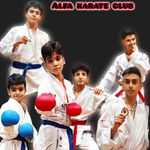 باشگاه رزمی کاراته آلفا