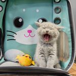 کلینیک دامپزشکی و پت شاپ اگزو