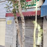 خدمات گلستان تعمیرات تخصصی جاروبرقی