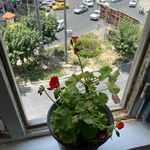 گروه برندینگ نهال
