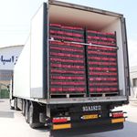 سورت فلفل کاروان (روستوک)