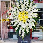 گلفروشی قصرگل