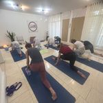 استوديو یوگاباز (مینا حسینی)