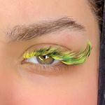 آموزش و خدمات تخصصی اکستنشن مژه ماهی