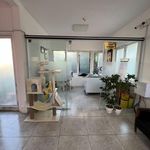 کلینیک اختصاصی حیوانات و پت‌شاپ مهر