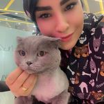 کلینیک دامپزشکی رد کارپت