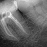 مطب دندانپزشکی (دکتر محمد محمدیان)