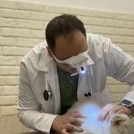 کلینیک دامپزشکی فرهنگ