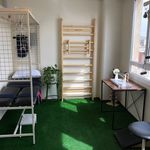 فيزيوترا پي پارسيا