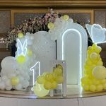 دیزاینستون آمل خانمای بادکنکی