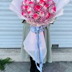گلکده ژینکو آستارا