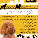 مربی سگ و رفتار شناس حیوانات