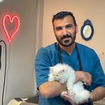 کلینیک دامپزشکی تریتامیرداماد