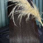 سالن زیبایی الناز دهقان زاده