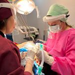 متخصص دندانپزشکی کودکان دکتر رهنما