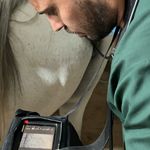 کلینیک دامپزشکی دکتر ضیاالدینی