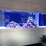 فروشگاه ایران کورال