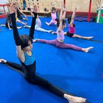 مدرسه ژیمناستیک ماهانا